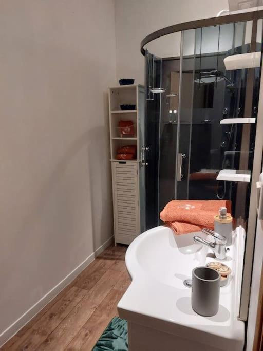 Appartement Proche Des Parcs ヴィシー エクステリア 写真